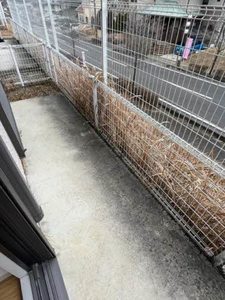 バリュージュ・ＩＢＡＲＡ・夢み台Ａ A102号-5