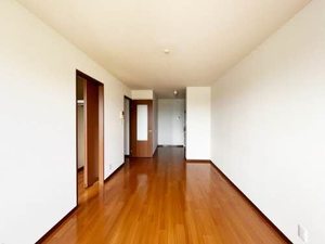 アーバヒルＰ P102号-8