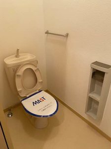 フェリーチェ D201号-10