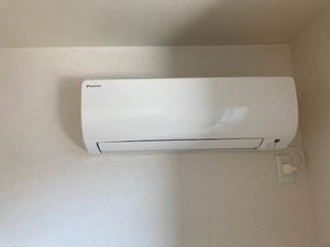 ＰｉｎｅＲｏｏｔｓ　良福寺 B203号-10