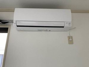 ビューアングル 0205号-12