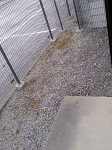 コーポ　ツジタツ 0102号-13