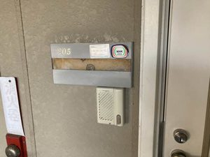 ツィン・ベル 0205号-4