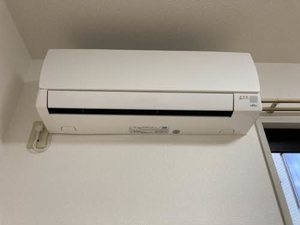 ゴンフレール 0105号-8