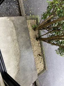 ゴンフレール 0105号-12