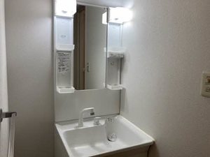 ゴンフレール 0205号-5