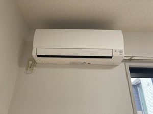 ゴンフレール 0205号-9