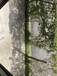 きぬがさ 21 0103号-10