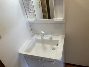 ヴェナ　ビスタ 0207号-11