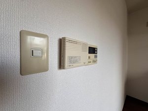 ヴェナ ビスタ 0112号-8