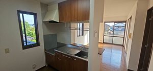 シャーメゾン　ＶＥＮＴ 0208号-3