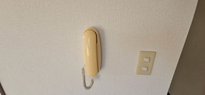 シャーメゾン　ＶＥＮＴ 0208号-13