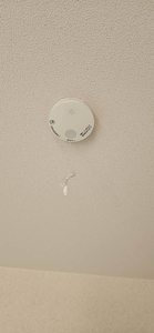 シャーメゾン　ＶＥＮＴ 0208号-14