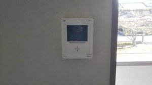 ＳＷＡＮＹ 0203号-7