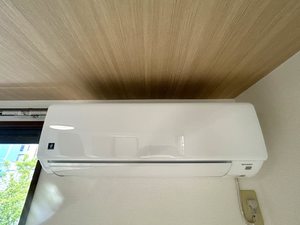 ディアス サーティーテン 0103号-14