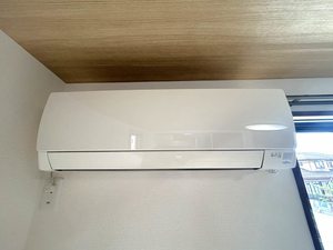 ディアス サーティーテン 0201号-12
