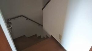 ステージ　リペリアン 0102号-10