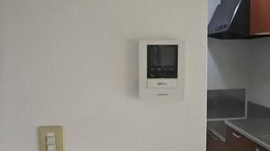 ステージ　リペリアン 0102号-11