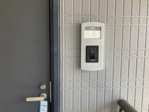 ＳＩＲＡＨＡＥ 0205号-8