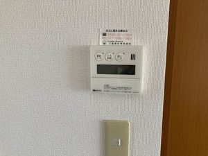 ＳＩＲＡＨＡＥ 0205号-11