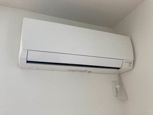 ジュジュ 0101号-14