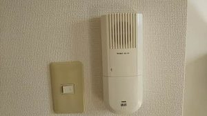 ＣＡＳＡ　ｉｓ 0201号-8