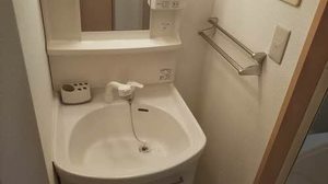 ＣＡＳＡ　ｉｓ 0201号-9