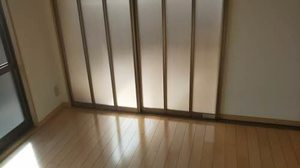 ＣＡＳＡ　ｉｓ 0201号-12