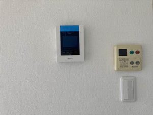 サンクレスト　カキミ 0203号-4