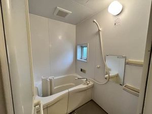 サンクレスト　カキミ 0203号-6