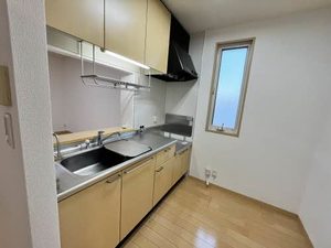 サンクレスト　カキミ 0203号-12