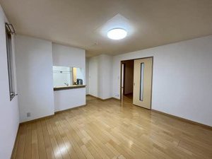 サンクレスト　カキミ 0203号-13