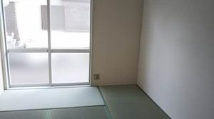 Sephira Toyo 0102号-5