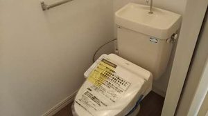 Sephira Toyo 0102号-9