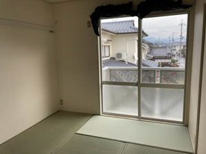 Sephira Toyo 0203号-11