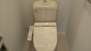 ＳＷＡＮＹ 0207号-5