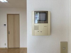 ツァールトハイト 0101号-7