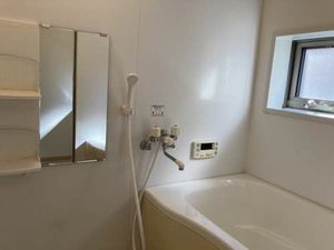 シャトーサイド 0202号-5