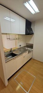 グレイス コート 0113号-6