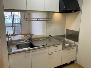 サン メゾン 0205号-6