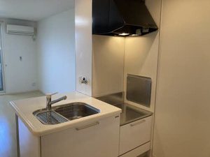 ＭＡＳＴ　ＣＯＵＲＴ　神照 0106号-4