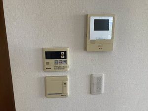 ＭＡＳＴ　ＣＯＵＲＴ　神照 0213号-8