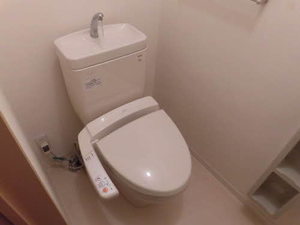 メゾン　ホーミーズ 0202号-9