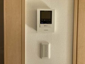 メゾン　ショコラ 0201号-8