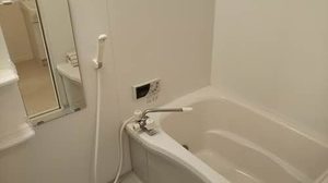 メゾン　ド　ルミエール 0105号-13