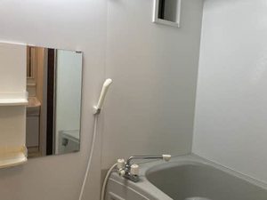 シャーメゾン　フォンターナ 0110号-4