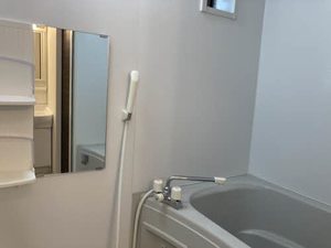 シャーメゾン フォンターナ 0211号-4