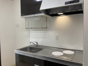 シャーメゾン フォンターナ 0211号-8