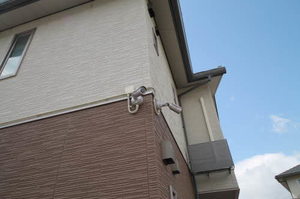 シャーメゾン　ピアンタ 0105号-14