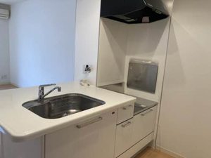 メゾン・ラポール 0107号-4